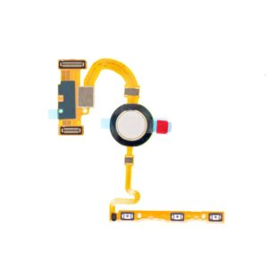 Flex Fingerprint Google Pixel 5